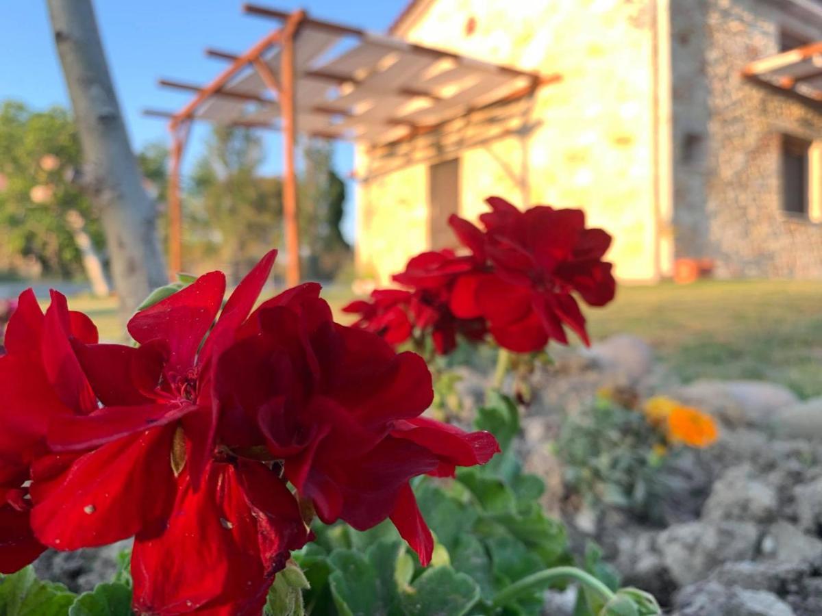 Apartament To Petrino Spiti Possidi Zewnętrze zdjęcie